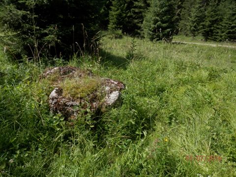 Foto 43